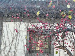 -司马台长城