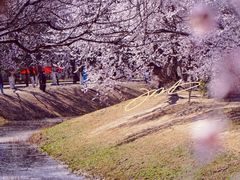 -北京奥林匹克公园