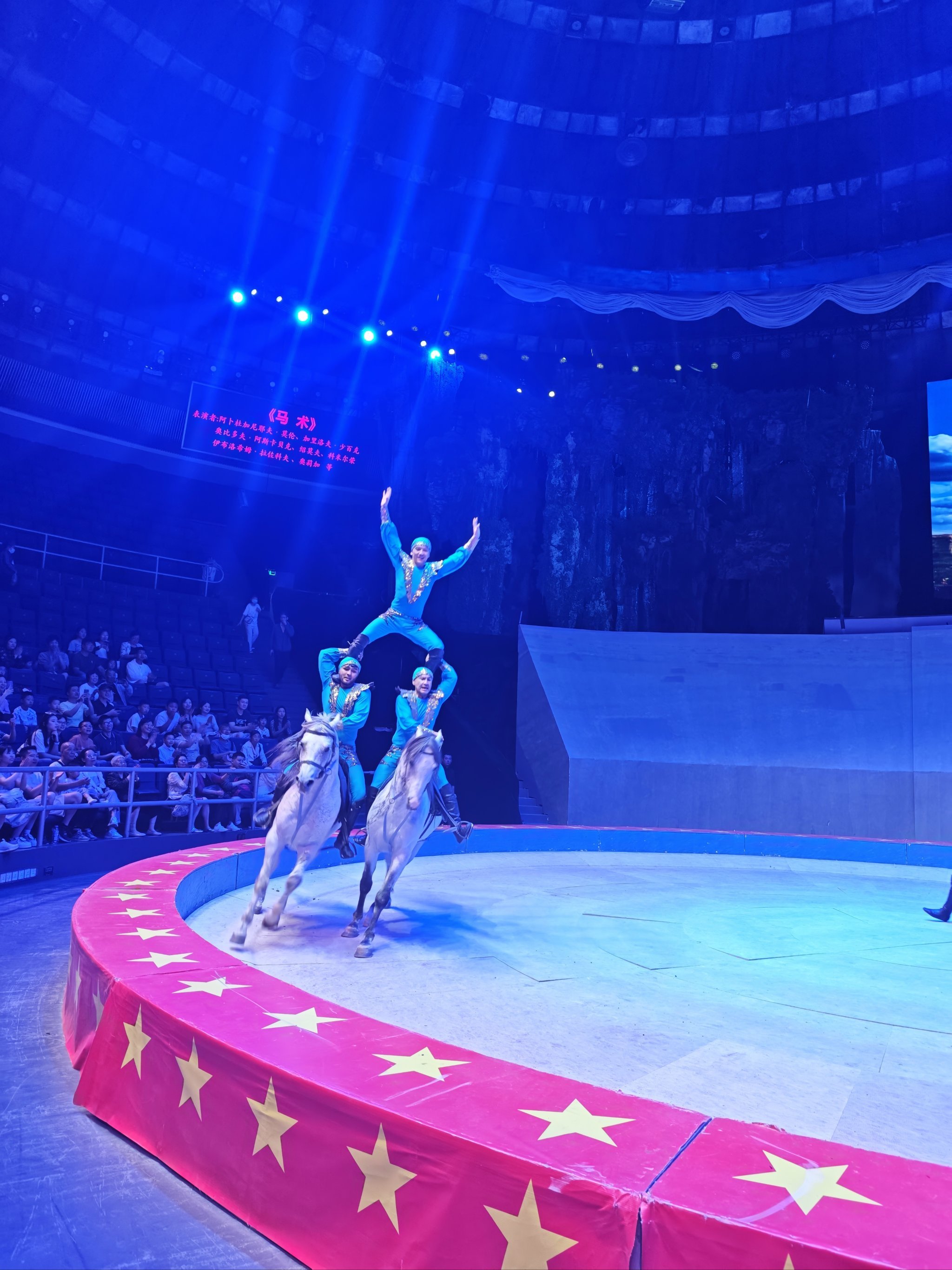 大马戏团·全程高能尖叫!🎪💥