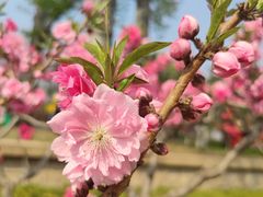 -元大都城垣遗址公园