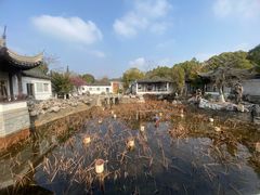-八大山人梅湖景区