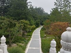-西海子公园