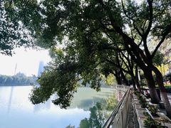 -宝岛公园