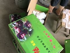 -马陆小张葡萄园农家乐