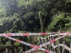 -青芝山风景名胜区