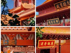 -深圳市中科院仙湖植物园