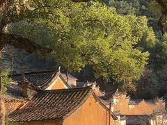 -杨家堂村