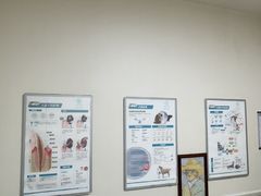 -谐和益家动物医院·免疫绝育·血液透析·宠保定点医院(高新伊藤分院)