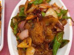麻花回锅肉-乐乐餐厅(湘子庙街店)