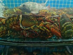 水产区-望海潮海鲜店 特色家常菜(在海一方店)