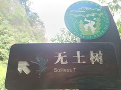 -龙湾潭国家森林公园