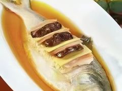 酒酿鲥鱼-江南村酒家