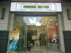 android_upload_pic-米苏动物医院·犬猫专科·骨科外科内窥镜