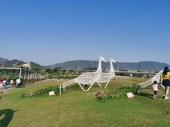 -光明小镇欢乐田园