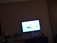 -东北大厦酒店(沈阳北站青年大街店)