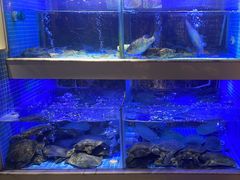 -王捌小院(红花坡店)