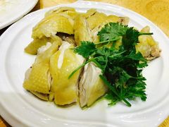 白切湛江鸡-瑞记湛江鸡饭店·粤西第一鸡(粤垦店)