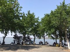 -瑶湖郊野森林公园