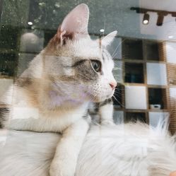 -隅日式美甲美睫專門店