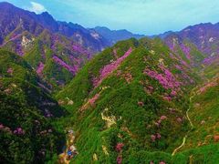 -秦岭风景区