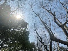 -徐家汇源景区-衡山公园