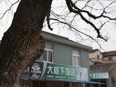 -大树下饭店(春晓镇慈岙社区卫生服务站南)
