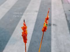 -花溪公园