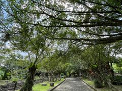 -海口火山口国家地质公园