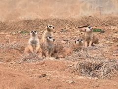 -杭州野生动物世界