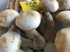 -菌海森林·非遗野生菌火锅(西山区滇池路摩根道店)