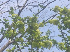 -白塘生态植物园
