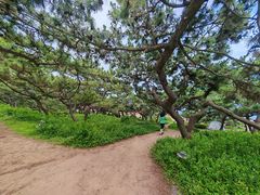 -青岛第三海水浴场