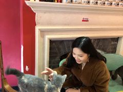 -猫色咖啡·猫咖