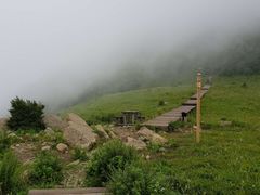 -白草畔自然风景区