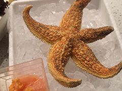 -龍歌自助小火锅(市北台东利群店)