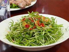 -丁老爷子苏香圆