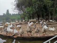 -西安秦岭野生动物园
