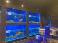 水产区-金时代顺风大酒店(临港百联店)
