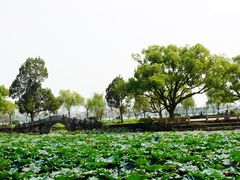 -无锡蠡湖国家湿地公园-蠡园