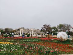 -北京世界公园