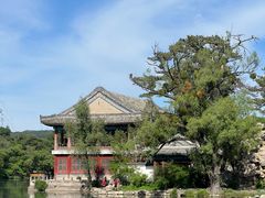 -清真喜兰老丁羊汤特色小吃