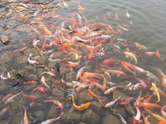 -北戴河圣蓝海洋公园