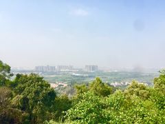 -广州莲花山旅游区