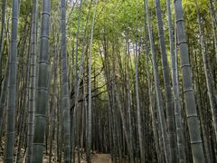 -南北湖风景区