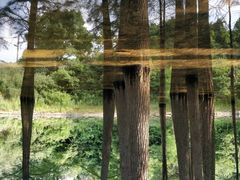 -青龙山国家森林公园