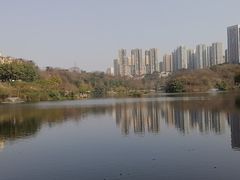 -重庆彩云湖湿地公园