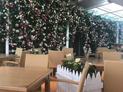 -辛德勒啤酒德餐厅