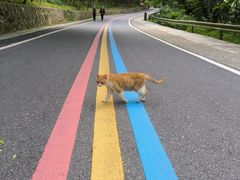 -南京金牛湖风景区