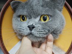 -联合动物医院(光谷诊疗中心)