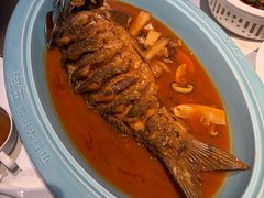 -阿五黄河大鲤鱼(英协路店)